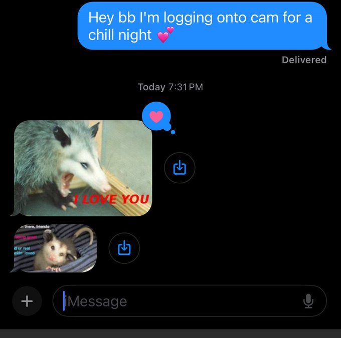 &ldquo;What do i get when i purchase your phone number?&rdquo; Me: to send me opossum pics https://t.co/FBsc4VeJ