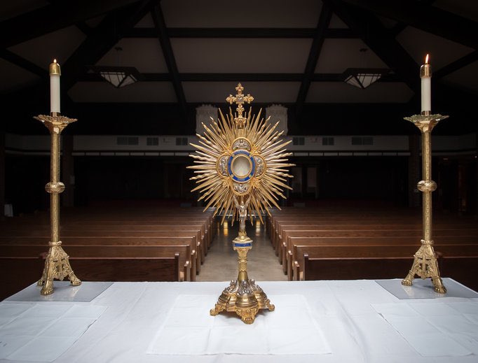 “The best, the surest and the most effective way of establishing PEACE on the face of the earth is through the great power of Perpetual Adoration of the Blessed Sacrament.”

                                    – Pope John Paul II

#ThursdayDevotion
#EucharisticAdoration
