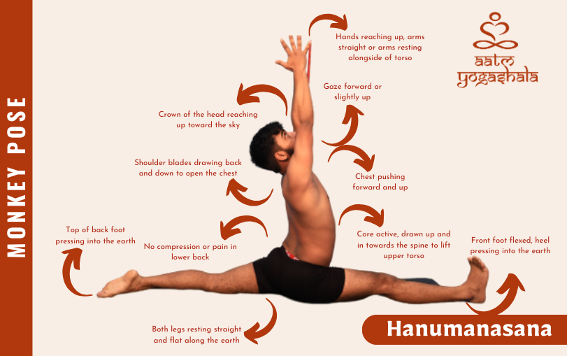 AatmYogashala's tweet photo. Hanumanasana is an advanced seated asana that requires lots of flexibility in the hips, groin and legs -- particularly the hamstrings and quadriceps.
https://t.co/nzl47fXN27
#hanumanasana #monkeypose #yogattcinrishikesh #yogaschool #aatmyogashala https://t.co/zg20ZmIaUU