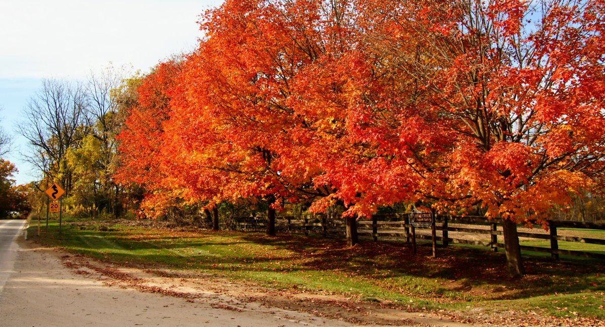 #Fall 's splendor at peak color in Michigan.