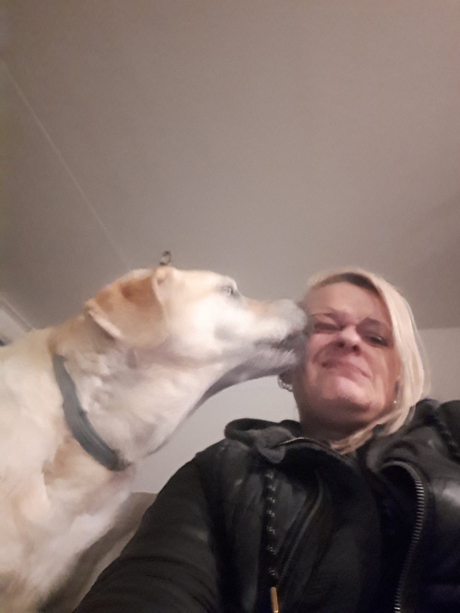 ImkeSingingintherain tweet media