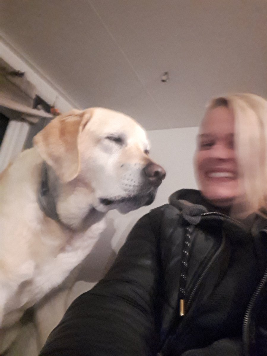 ImkeSingingintherain tweet media