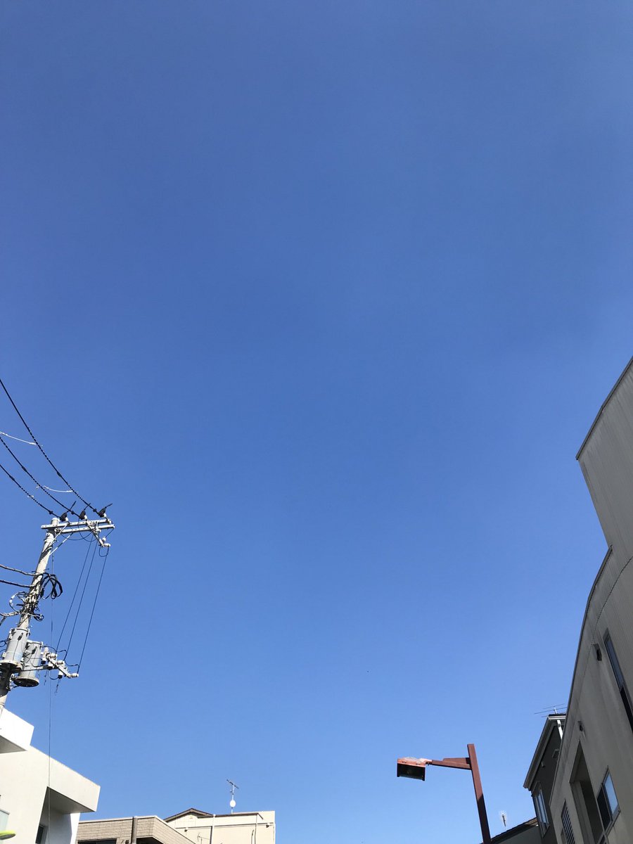 harukii_PR's tweet photo. 皆さま、こんにちは���東京世田谷の弊社付近上空は、雲一つない澄み切った
青空が広がっております。風はそよかぜ，冷房も暖房もいらない最高の気温です。こんな日がずっと続けば良いのに。
さあ気持ち良い秋の日を午後も楽しみましょう！ https://t.co/sBPysChcwt