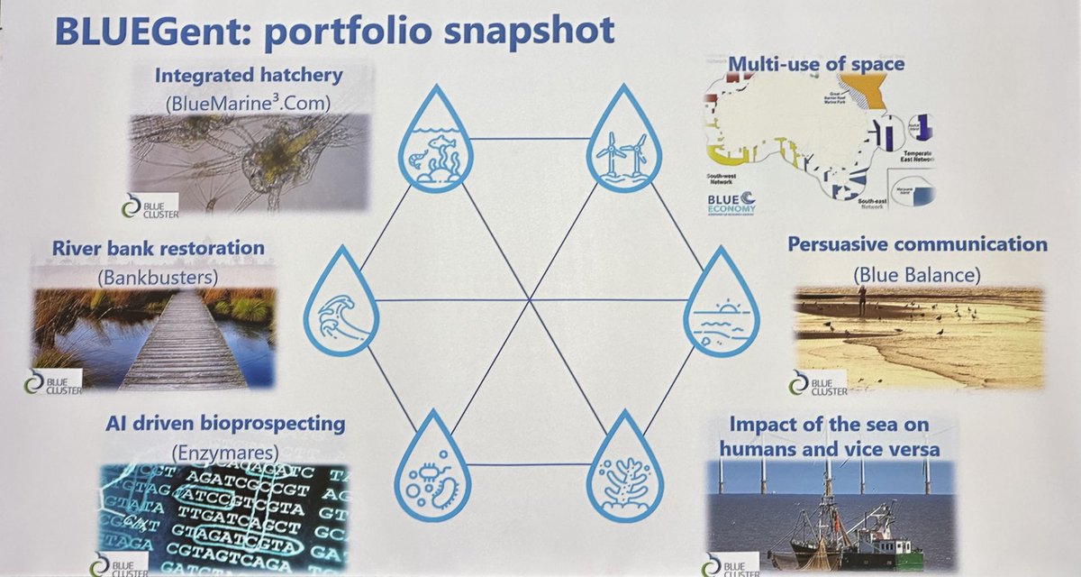 LucSels's tweet photo. Today I attended an excellent seminar by ⁦⁦@ugent⁩ on the Blue Acceleration at the North Sea &amp; their collaboration with Australia Blue Economy CRC. Proof once again how top Flemish universities are indispensable on economic missions @rvdwalle⁩ ⁦⁦@M_Drouillon⁩ https://t.co/LNSaORmdeT