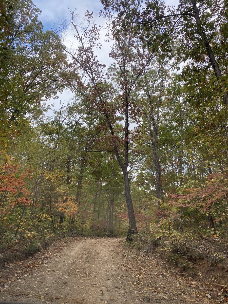 andrewccrawf's tweet image. I love Arkansas in the fall