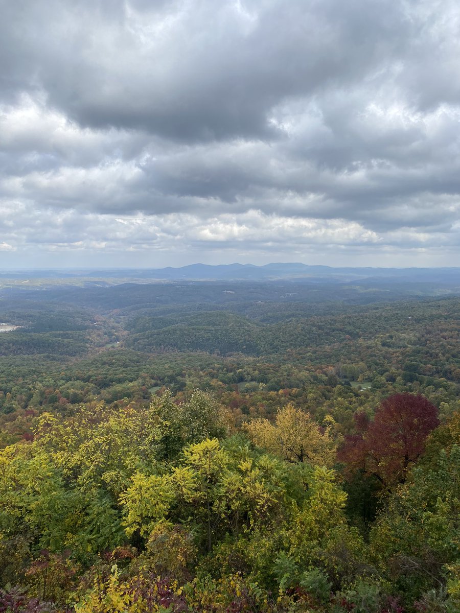 andrewccrawf's tweet image. I love Arkansas in the fall