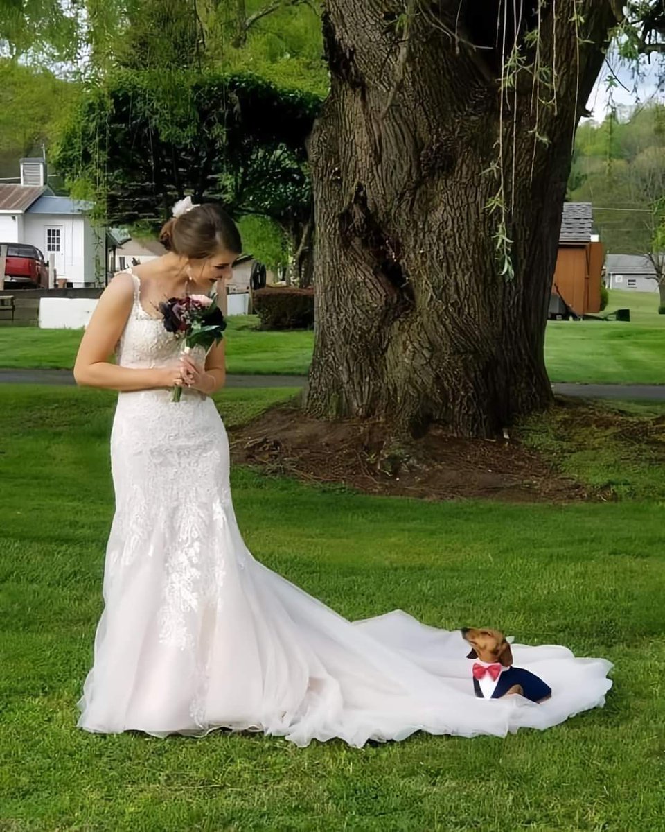 smartb_1one's tweet photo. Si no me entrega en el altar un perrito, no me caso... https://t.co/eXcdLqvMlh