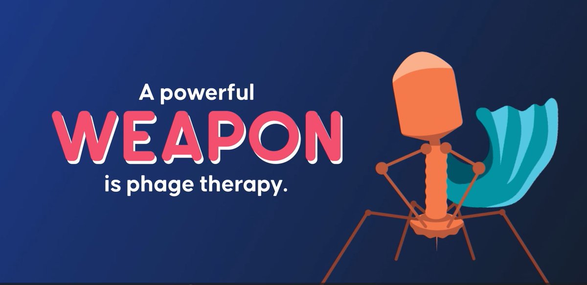 Wal-yan Respiratory Research Centre tweet media