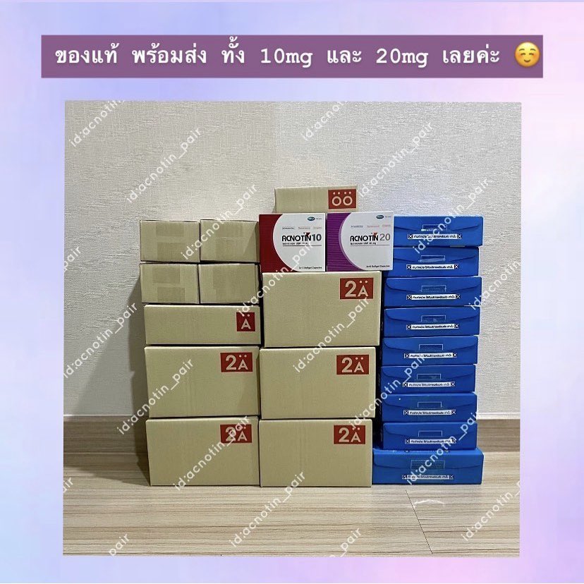 acnotin_pair tweet media