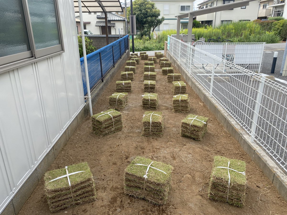 kiryokuen's tweet photo. 秋の適期に天然芝張り工事を行いました。

天然芝工事や環境に配慮した人工芝工事を行っております。お気軽にお問い合わせ下さい。
https://t.co/IKQCO2NlqA

#芝張り
#芝張り工事
#八千代市
#佐倉市
#印西市
#船橋市
#千葉市
#千葉県
#造園業者
#植木屋

季緑園ー四季の庭ー
https://t.co/ODccFdm8tp https://t.co/dlNDkLGChd