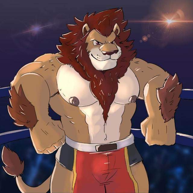 Yamatsumi3's tweet photo. Que onda furros rudos!!! 
Todavia ando buscando a mas de ustedes que les guste el boxeo/lucha/peleas eroticas. Si algo de esto o el arte de este post llama tu atencion mandame mensaje para que puedas unirte al coliseo nocturno y conocer mas furros como tu 🥊🥊🤼⚔️💦💦💦 https://t.co/lE4YcD2mFQ