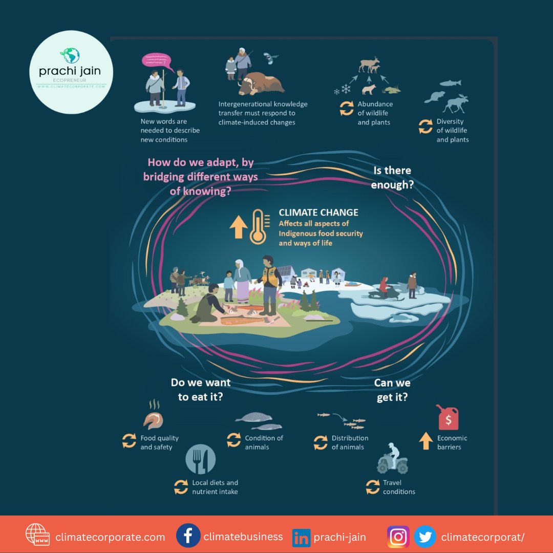 climatecorporat's tweet image. According to an analysis by the U.N. Food &amp;amp; Agricultural Organization (FAO), Food systems used by different indigenous peoples were among the world's most sustainable in terms of efficiency, thus avoiding waste and adapting to the seasons
#IndigenousFoodSystems #SustainableDiets