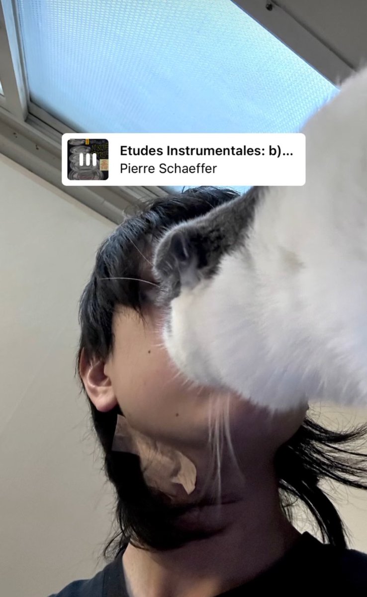 진짜 조아하는 한주 사진