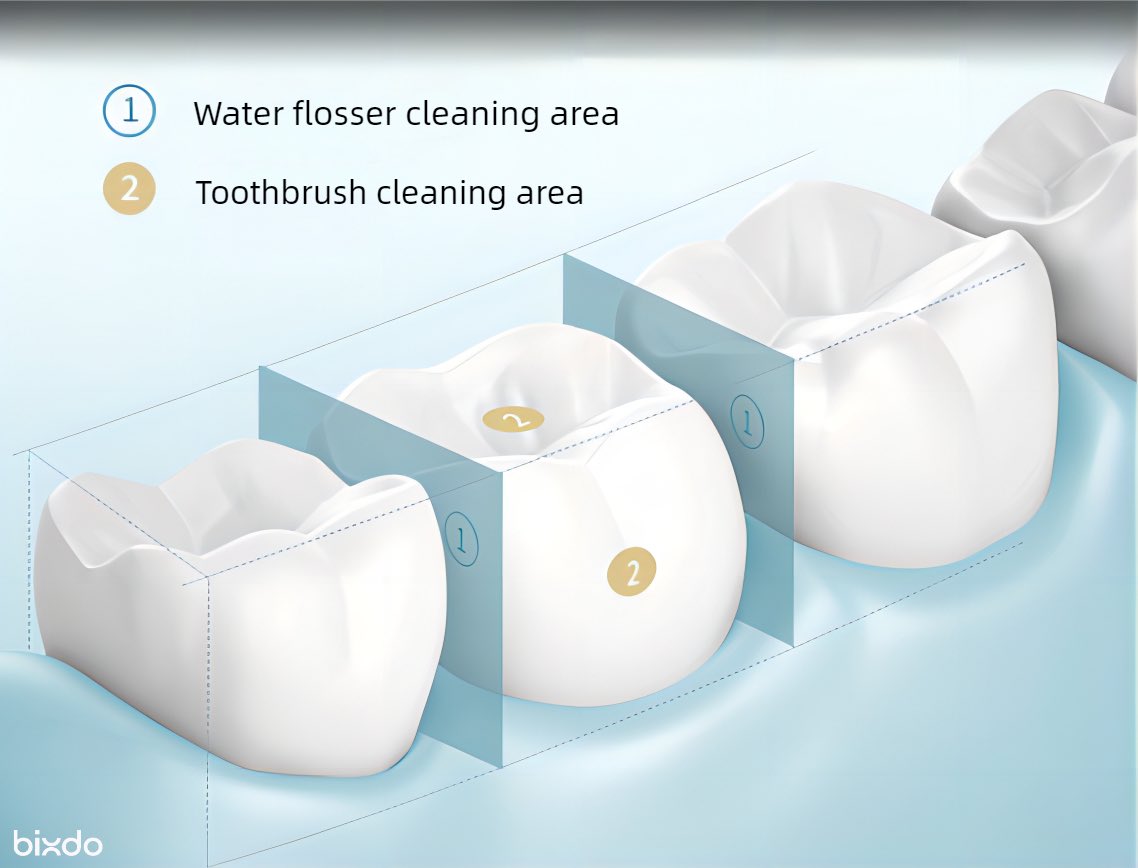 Bixdo_oralcare's tweet image. Did you know that a toothbrush alone can&apos;t reach all those nooks and crannies in your mouth? 😬 Discover the power of a water flosser and elevate your oral hygiene game! 💦🦷 #WaterFlosser #HealthySmile #UpgradeYourRoutine #bixdo