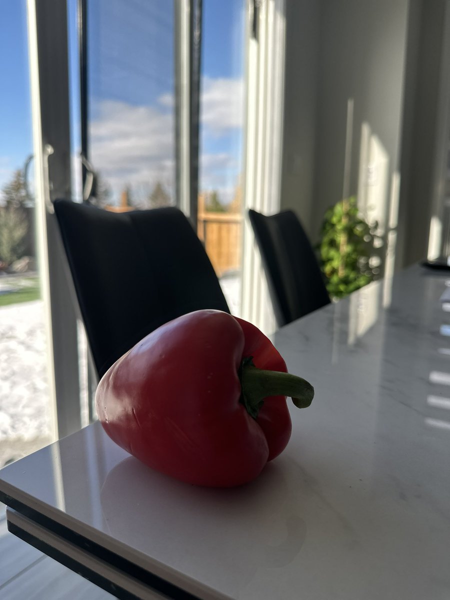 RayanElkhoja's tweet photo. How could one bell pepper has the ability to bring back thousands stories ! #iMiss https://t.co/aY4IxK98ed