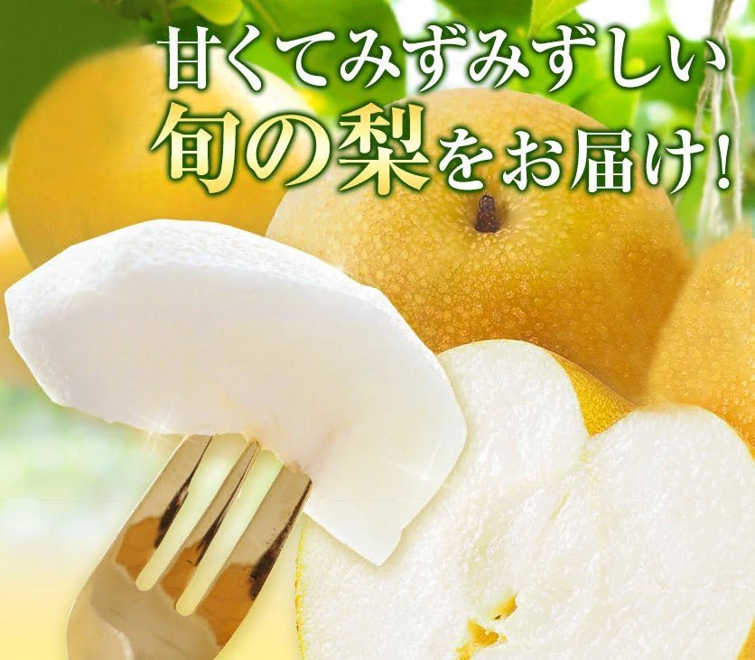 tuoyoo2018's tweet photo. //
             梨🍐一箱🍐
プレゼントキャンペーン🎁✨
          5名様に当たる‼　
\\

濃厚な甘さとやわらかめの果肉はとってもジューシー🍐3日目

🍐応募方法 
① 当アカウントをフォロー 
② 10月29日までリポスト＆いいね
当選者にはDM🍐
#くだもの https://t.co/2xvRPOo5Re