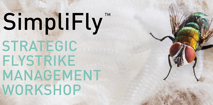 Register now for SimpliFly flystrike management workshops at Bothwell, Campbell Town, and Richmond - mailchi.mp/9ce7e53d8b40/s… @woolinnovation