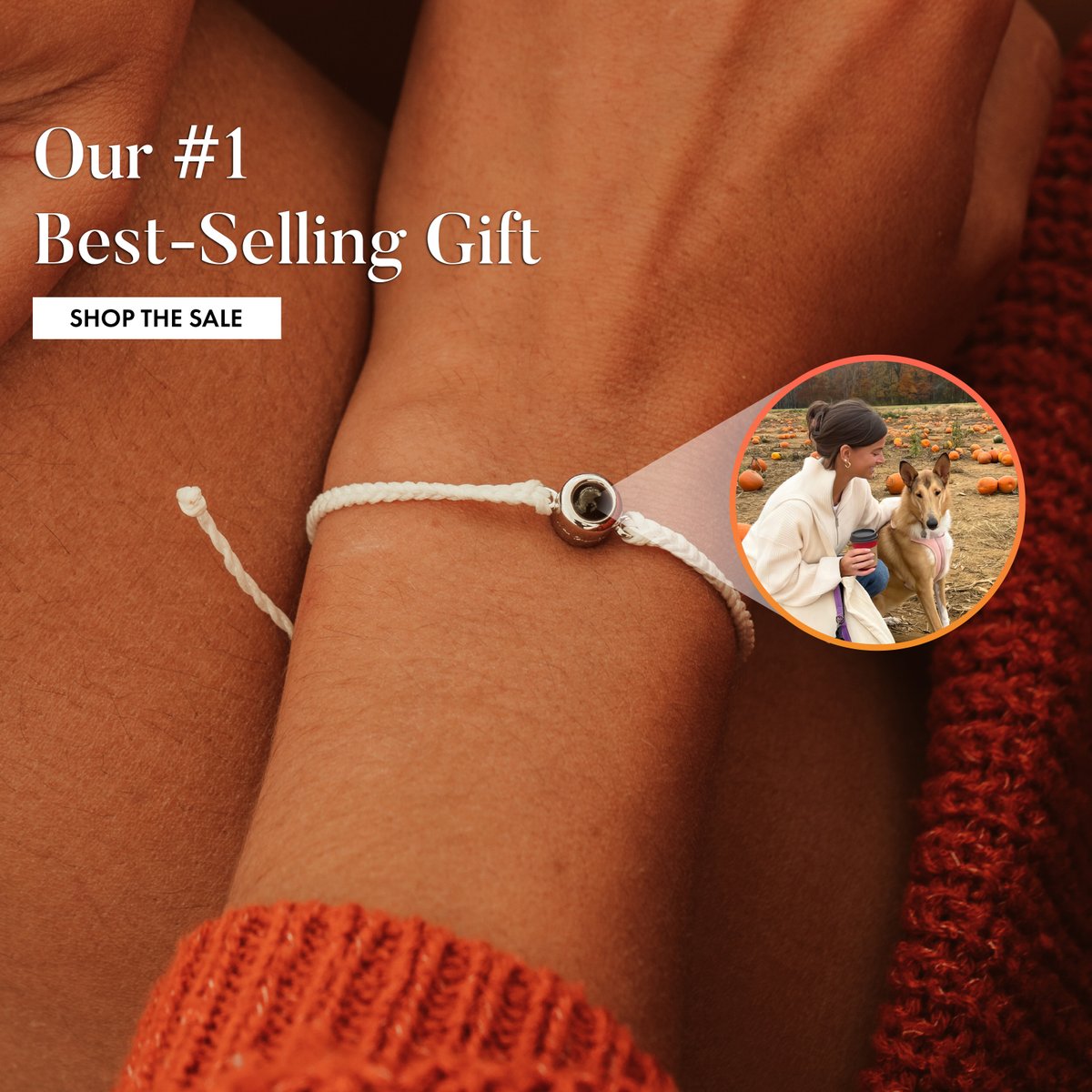 Wear Felicity tweet media