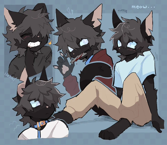 cat kitty cat cat