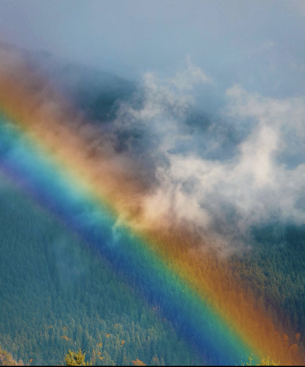 KweenKimberly's tweet photo. Today in Snoqualmie, WA 🌈🌤️🫧 So fortunate to live in such a beautiful place #PNW #PNWisBest #Seattle #SeattleWashington #UpperLeftUS
(📸 Instagram: seattleinsiders) https://t.co/uLKqT2Ws5R