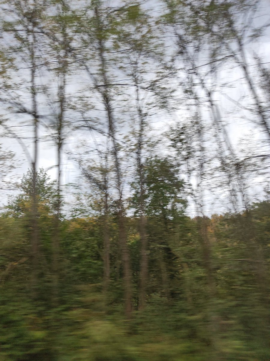 "en sevdiğim mevsimdir sarı sonbahar"