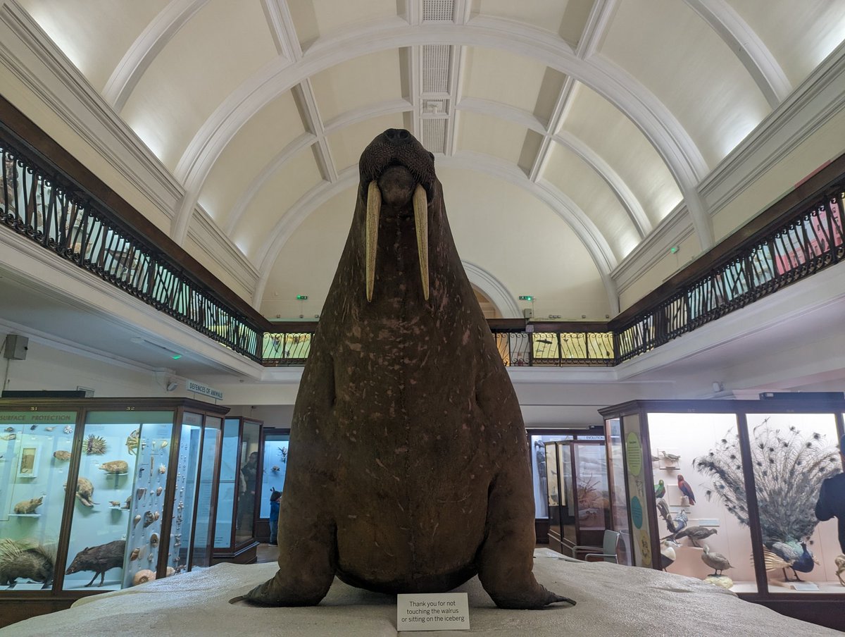 Super Graphic MK Ultra Modern Girl tweet media