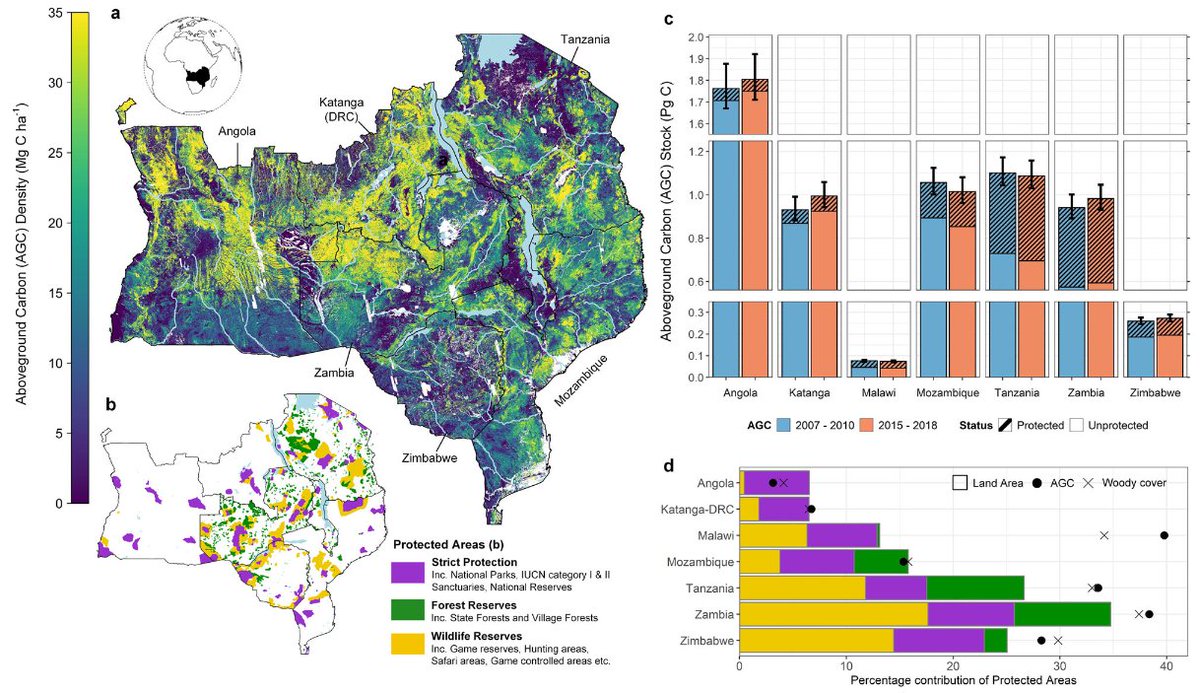 Aboveground woody carbon stocks increased faster in protected areas in southern Africa’s woodlands than in unprotected areas as a result of lower deforestation rates and faster vegetation growth

<a href="/iain_mcn/">Iain McNicol</a> <a href="/Casey_M_Ryan/">Casey Ryan</a> <a href="/aidank/">Aidan Keane</a> <a href="/NeilBurgess081/">Neil David Burgess</a> 

nature.com/articles/s4324…