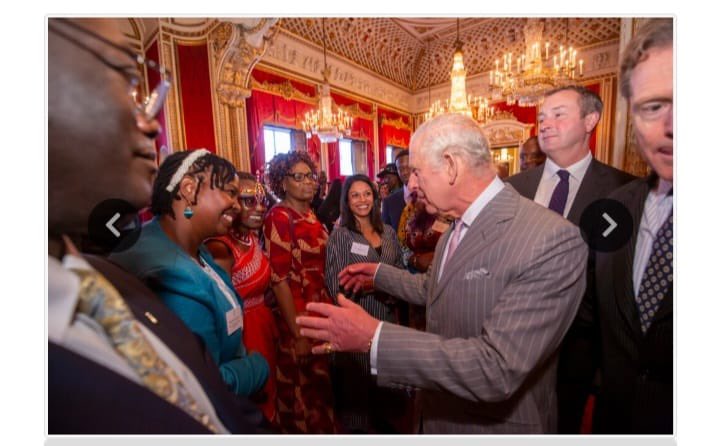 Irene macharia tweet media