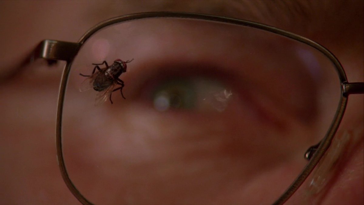 TheCinesthetic tweet picture