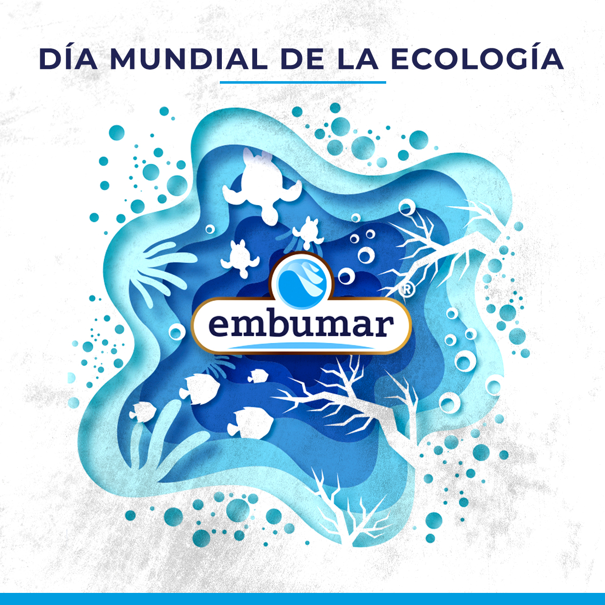 Embumar's tweet photo. 🌍🌱 Hoy se celebra el Día Mundial de la Ecología,pero en EMBUMAR esta celebración es una constante.
Nos preocupamos por la naturaleza y aplicamos prácticas ecológicas en la producción de nuestros productos marinos.🌊🐟🌿
#DíaMundialdelaEcología #EMBUMAR #CompromisoEcológico https://t.co/CwtOClpilk