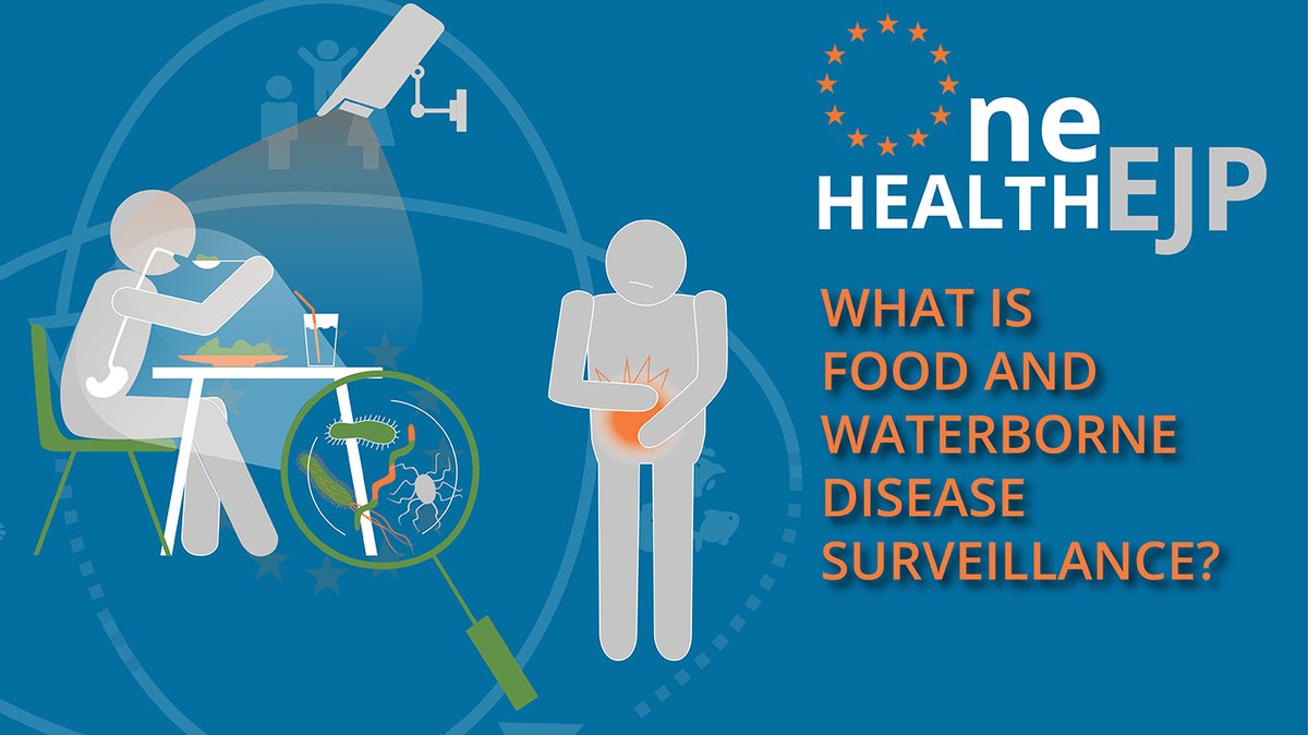 #DYK What is #foodandwaterbornedisease surveillance? It describes the collection, analysis, interpretation & dissemination of information on the occurrence of disease. Read the #BeONE brochure to learn more about how it can be improved 👇 ow.ly/cvnx50PY1Mb