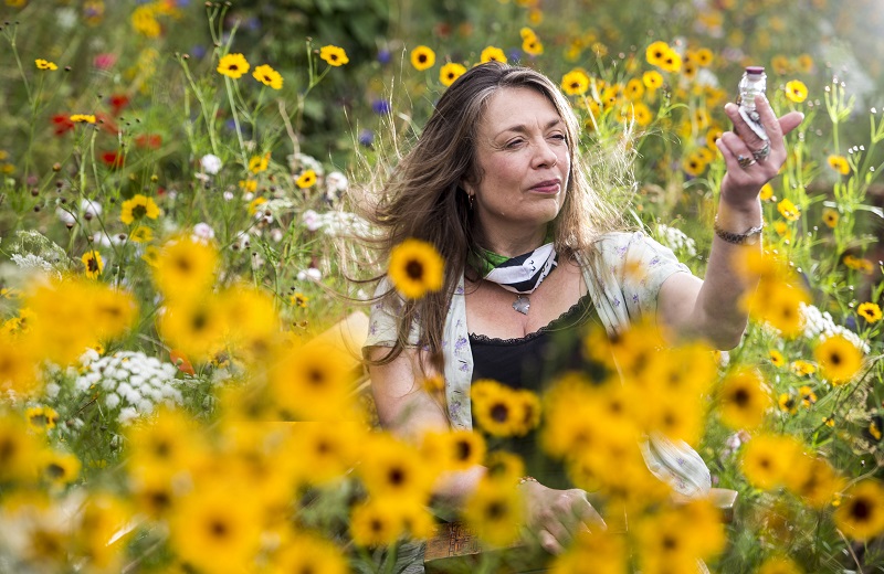 Good news! We've released extra tickets for our book launch event on 16/11 with <a href="/HerbalStorytell/">Amanda Edmiston</a>😃Come along and hear about recipes from the historical apothecary's cabinet
They're selling fast so don't miss out!
#booklaunch #histmed #histpharm <a href="/DandCBooks/">David and Charles</a>
eventbrite.co.uk/e/the-time-tra…