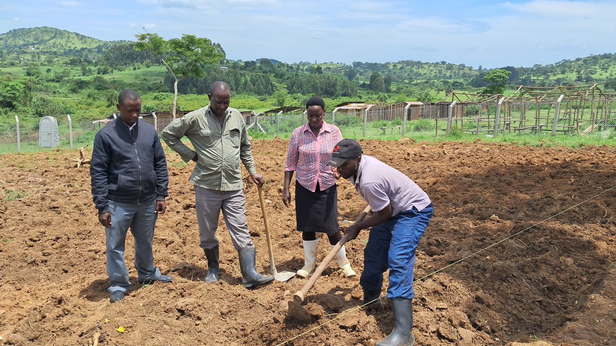 RWEBITABA ZARDI tweet media