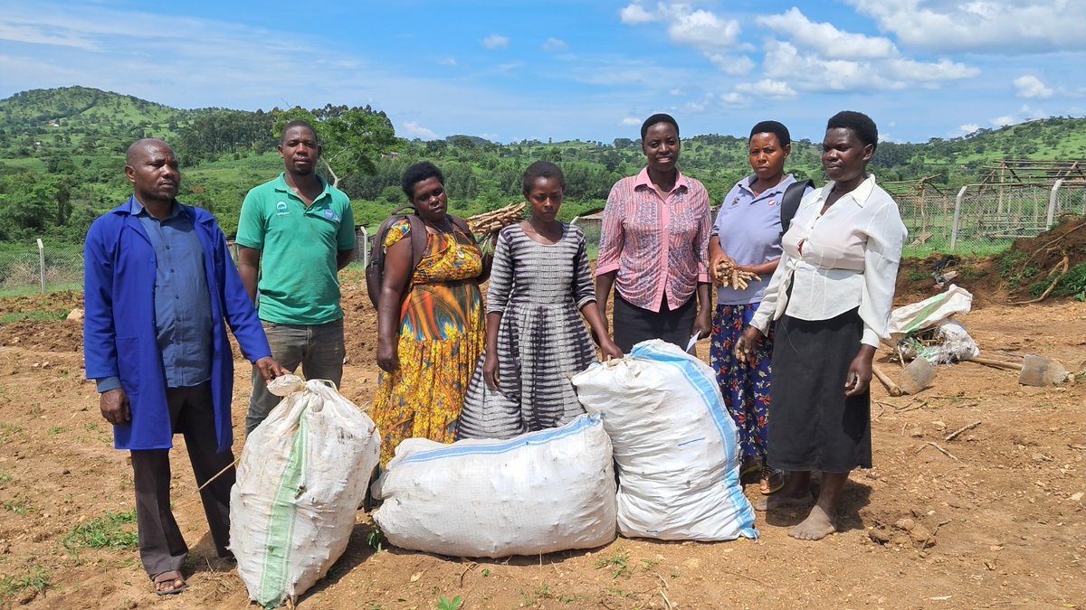 RWEBITABA ZARDI tweet media