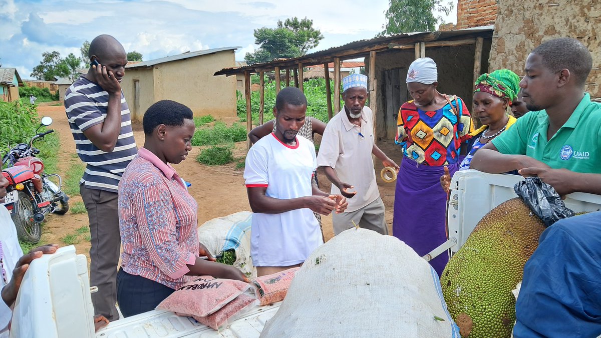 RWEBITABA ZARDI tweet media