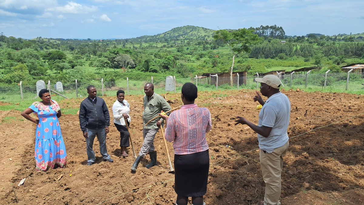 RWEBITABA ZARDI tweet media