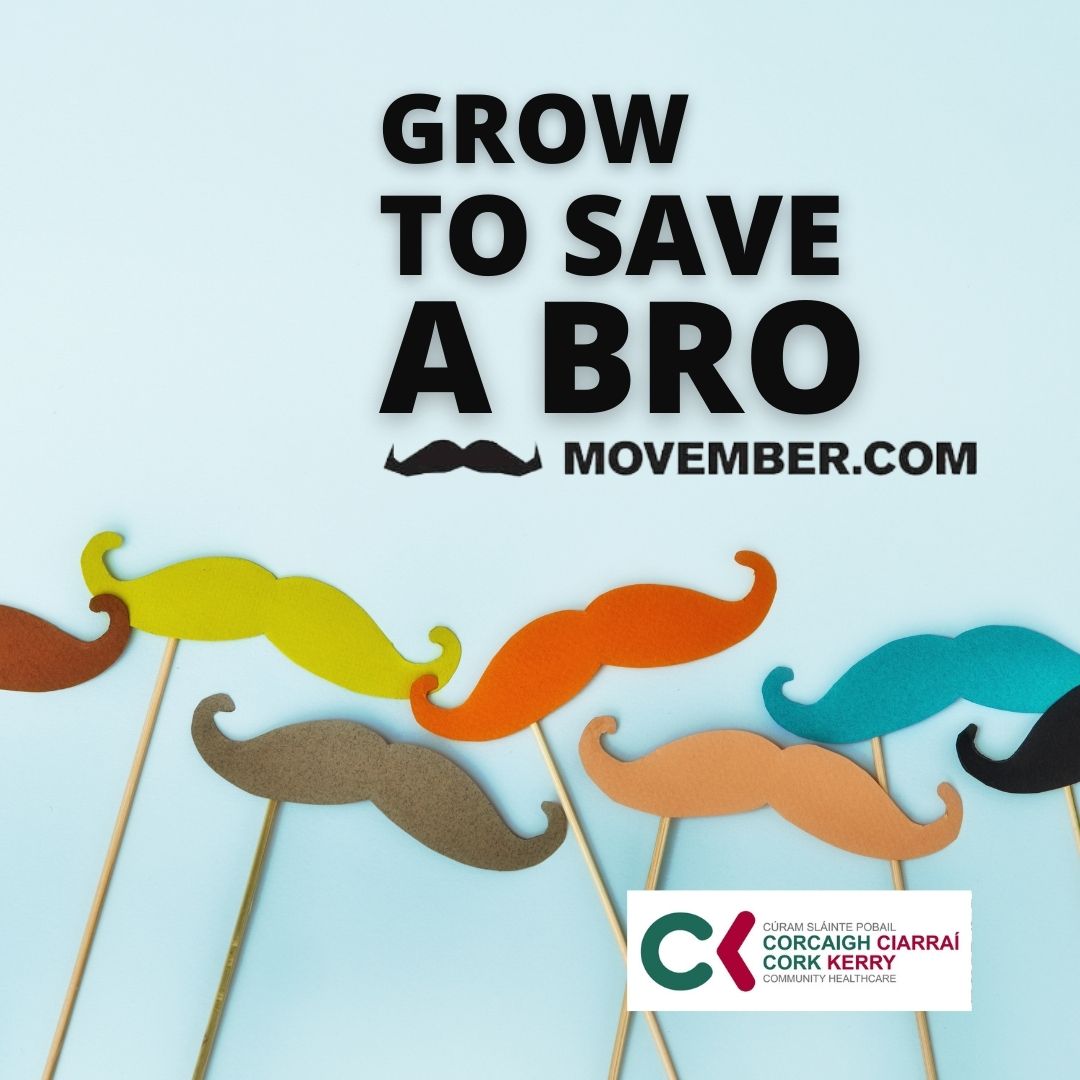 Priscilla1Lynch's tweet photo. Take part this #Movember 🧔 &amp; take on prostate cancer, testicular cancer and men’s mental health and suicide prevention.
To learn more and fundraise visit https://t.co/SW6czXVnWm

Grow to save a bro!

#Cancer
#mentalhealth
#MensHealth 
#growtosaveabro https://t.co/Tsw48edpqP