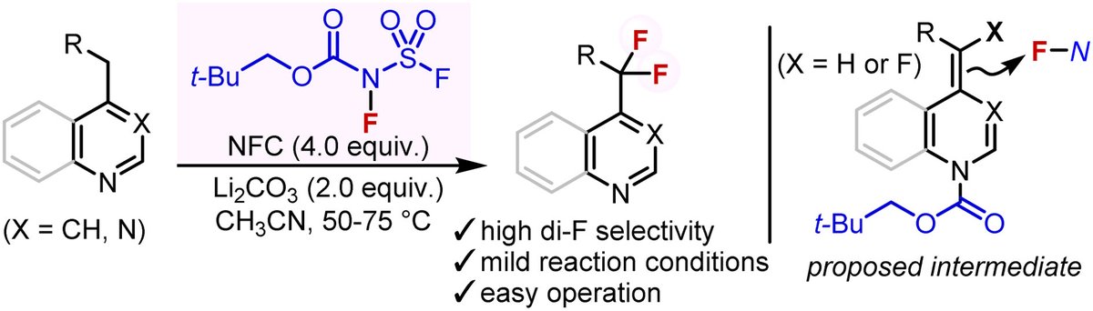Back cover of Issue 21 showcases research from Takuya Hashimoto, Kohsuke Aikawa et al.:

"Difluorination of heterobenzylic C–H bonds with N-fluoro-N-(fluorosulfonyl)carbamate (NFC)"

<a href="/hashimoto_lab/">Hashimoto Lab</a> 
#Free_to_read at doi.org/10.1039/D3QO01…