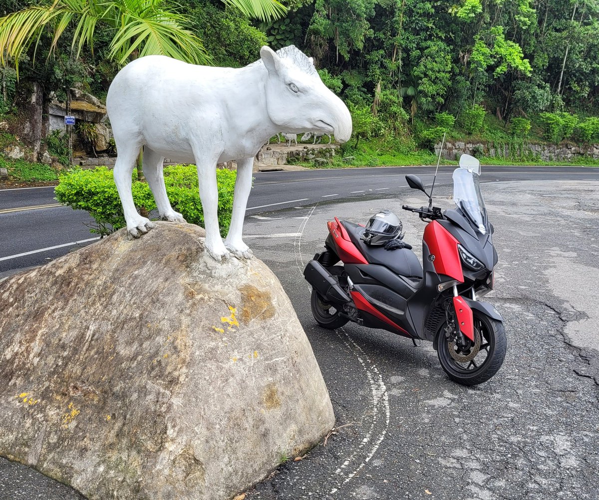 canalgaragem34's tweet photo. Registrando minha #yamaha #xmax250 na #serracabecadaanta em #tapirai durante as filmagens dos #vídeos da maior #viagemdemoto que fiz com minha #scooter e que já foram publicados lá no #youtube Garagem34 (link na Bio). https://t.co/F8KhsrcRlM