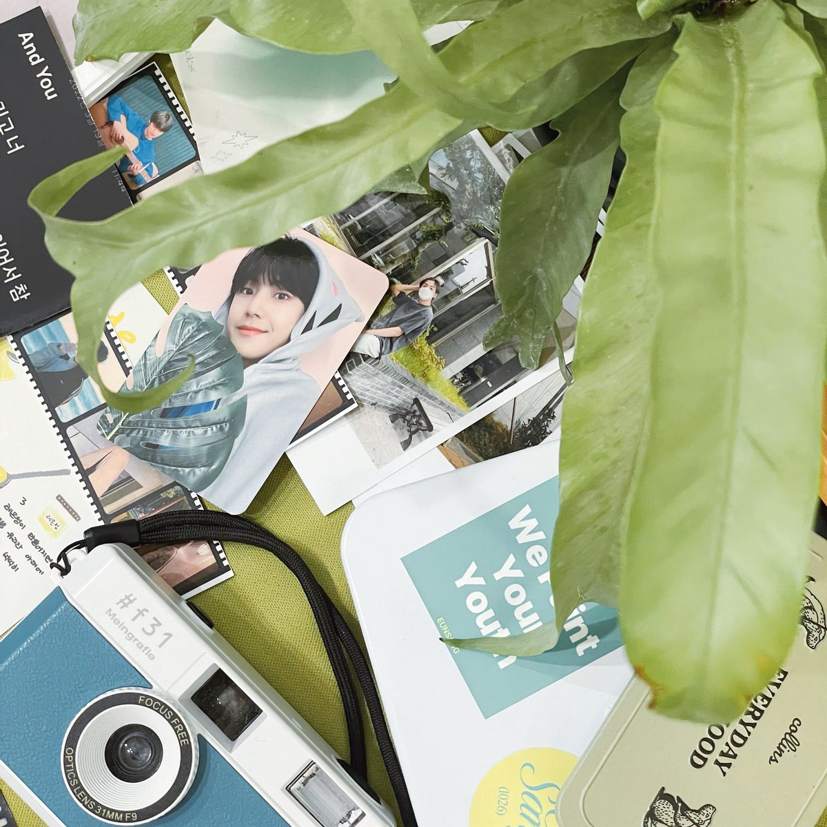 아리✨ tweet media