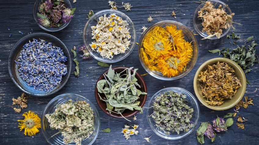 8 Plantas Medicinales 🌿🪻 🌸🧄🌻🌱🪴🍃

Albahaca: alivia bronquitis, catarro e inflamación de garganta.
Lavanda: efecto calmante, relajante, antioxidante y facilita el sueño.
Romero: eficaz para la caída del cabello, dolor premenstrual y digestivo.
Salvia: reduce el dolor