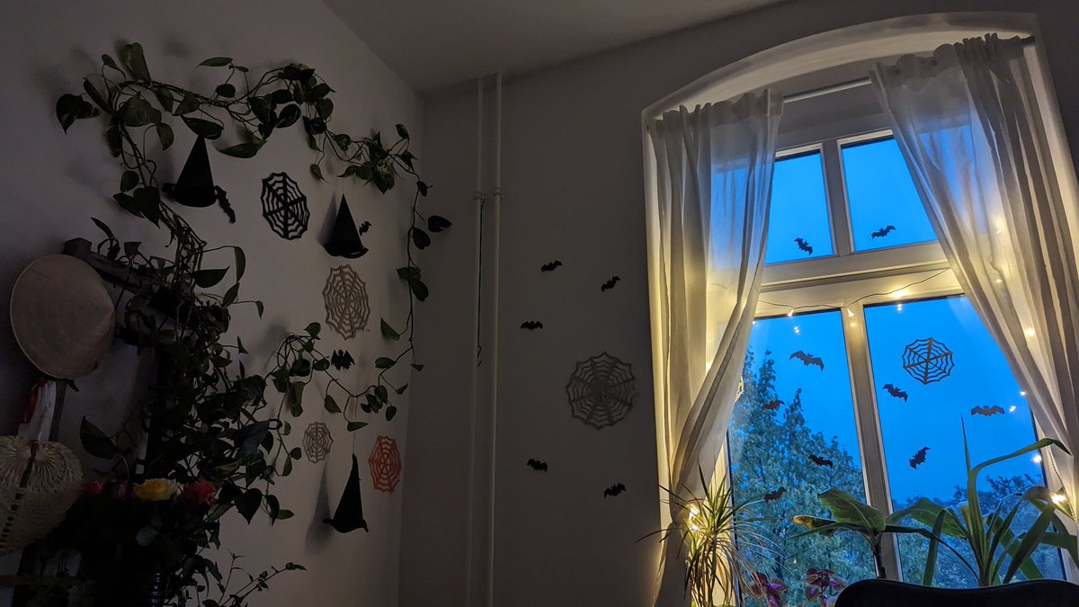 ioana 👩‍💻🦊✨ tweet media