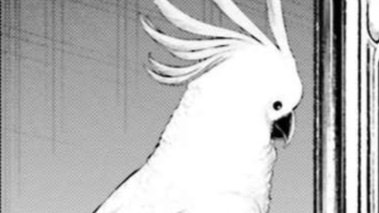 ㅤㅤ          ⠀⠀            ⠀⠀
ㅤ⠀⠀         ㅤㅤ        
⠀              . . . . 

     อย่างน้อยมันก็เล่นหมากรุกเป็นและมีประโยชน์, ส่วนหลานชาย (ยกเว้นเฮอร์มีส) นั้น—