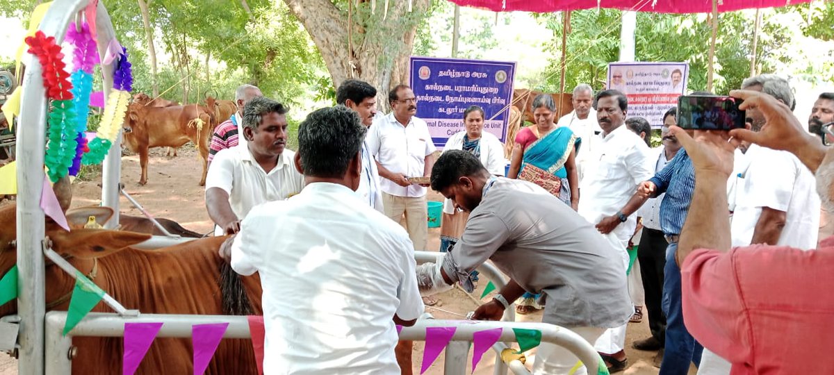 rajendran_saba's tweet photo. இந்நிகழ்ச்சியில் கால்நடைதுறை மருத்துவர்கள், துறை சார்ந்த அலுவலர்கள் , உள்ளாட்சி பிரதிநிதிகள், கழக நிர்வாகிகள் கிராம பொதுமக்கள் கலத்து கொண்டனர்.
#Visur https://t.co/jymd6mOHjl