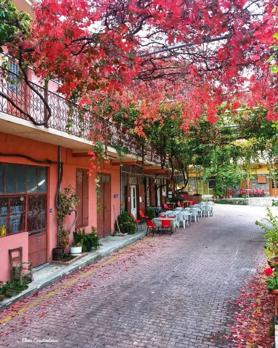 CyprusAlive's tweet photo. 📍 Platanistasa

A verdant oasis, a sample of the ancient Greek civilisation and the beauty of nature.

📸 By: @elena_constantinou_75 [IG]

#Cyprus #Nicosia #Platanistasa https://t.co/d3edvqi3dQ