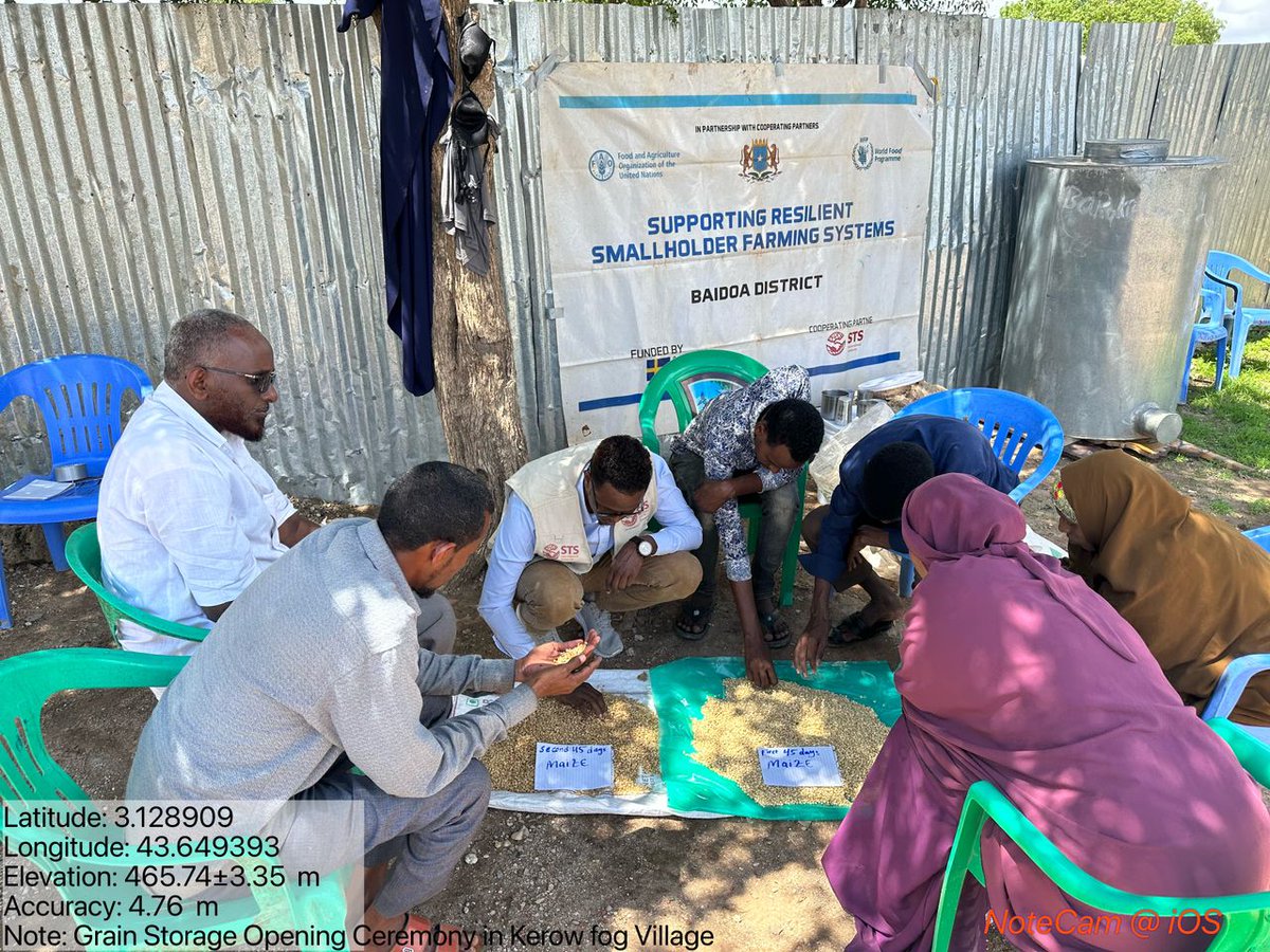 stsintersol's tweet photo. In #Baidoa our team was able to showcase the grain storage opening ceremony for on-farm demonstration of post-harvest loss management equipment. @FoodSec 
#Food #FoodSecurity #againsthunger https://t.co/817VBcTNX8