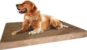 royaletag's tweet photo. Is your furry friend tired of soggy, uncomfortable sleeps? It's time to make the switch to a waterproof dog bed! 🌧️💤 
Buy https://t.co/ez71puKqXv
#WaterproofDogBed #DogComfort #royaletag https://t.co/k5hwSdD3K7