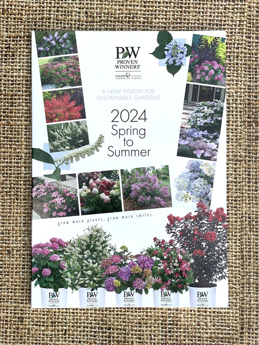 U3FN1tEA3cLWFUX's tweet image. PW2024春夏用カタログ届きました🎁凄く見応えがあるしっかりとした冊子で驚きました😳PWステッカー付きも嬉しいです💕 #provenwinners  #hakusan  #ガーデニング