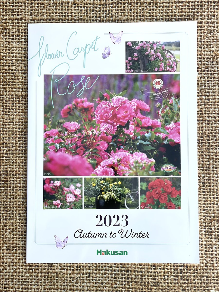 U3FN1tEA3cLWFUX's tweet image. PW2024春夏用カタログ届きました🎁凄く見応えがあるしっかりとした冊子で驚きました😳PWステッカー付きも嬉しいです💕 #provenwinners  #hakusan  #ガーデニング