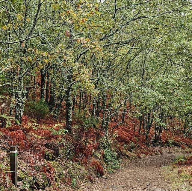 Turismo Norte de Extremadura tweet media